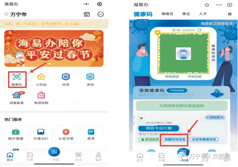 万宁网站建设:构建数字化桥梁